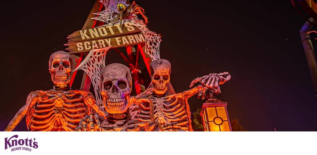 Three large skeleton figures at Knott's Scary Farm, one holding a lantern, with a night sky and