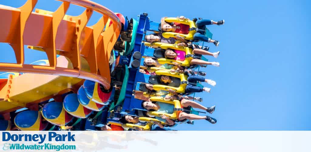 Image shows a vibrant roller coaster with excited riders at Dorney Park and Wildwater Kingdom. The coaster is bright with orange, red, and yellow details under a clear blue sky. Passengers in the front rows raise their arms, expressing thrill.