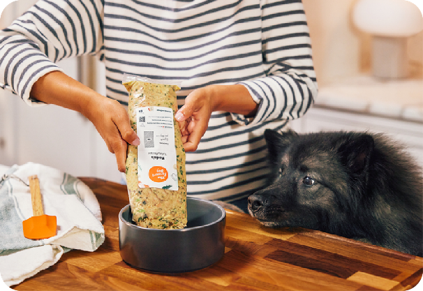 The Farmer’s Dog Image
