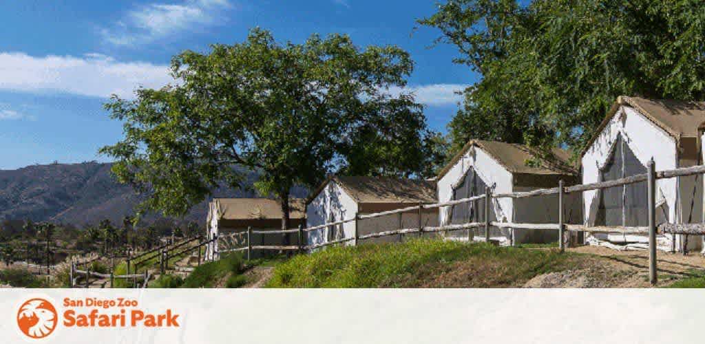 Image Description: This sunny landscape features the San Diego Zoo Safari Park. In the forefront, a gentle hill slopes upward, covered with patches of green grass and bordered by a simple white fence. Atop the hill, a row of white, tent-like structures with triangular roofs provides a rustic charm, nestled among scattered trees that offer shade and add to the picturesque setting. In the background, rolling hills extend into the distance under a clear blue sky, hinting at the grand scale and natural beauty of the park. Experience wildlife and adventure at the Safari Park and don't forget to check FunEx.com for exclusive discounts—ensuring you get the lowest prices on tickets for your next visit!