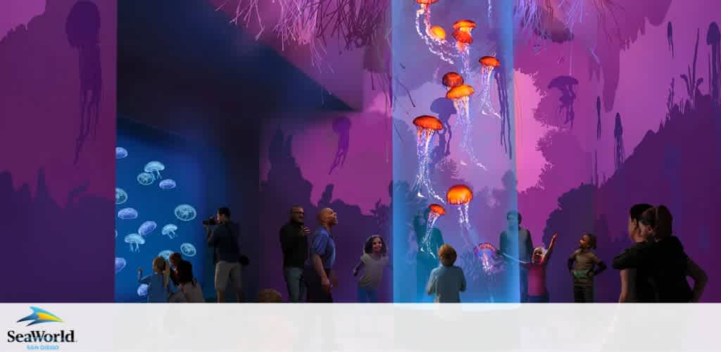 Visitors at an aquarium observe jellyfish. On the left, jellyfish swim in a blue-lit tank, while on the right, a vertical tank highlights orange jellyfish against a violet backdrop. The SeaWorld logo is visible in the corner.