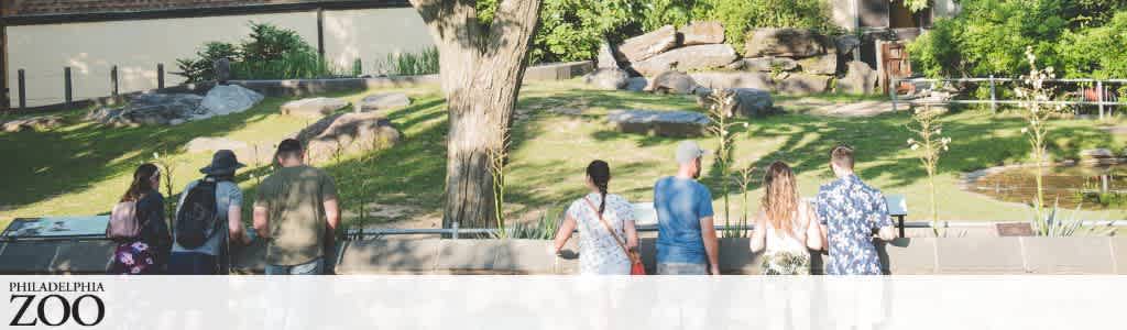 Group of people walking in a zoo outdoor area with trees rocks and a fence background