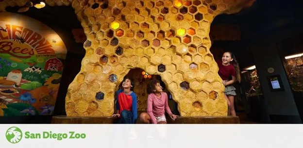 Image shows a playful exhibit at the San Diego Zoo with a large, honeycomb structure. Three children are engaging joyfully with the interactive display; two sitting and one standing under a honeycomb canopy, with education material visible in the background.