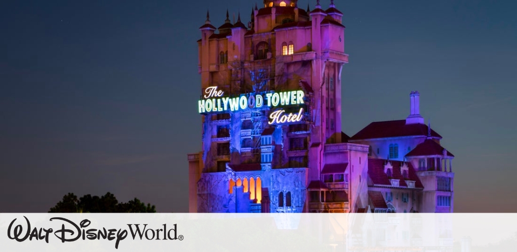 Disney World Picture