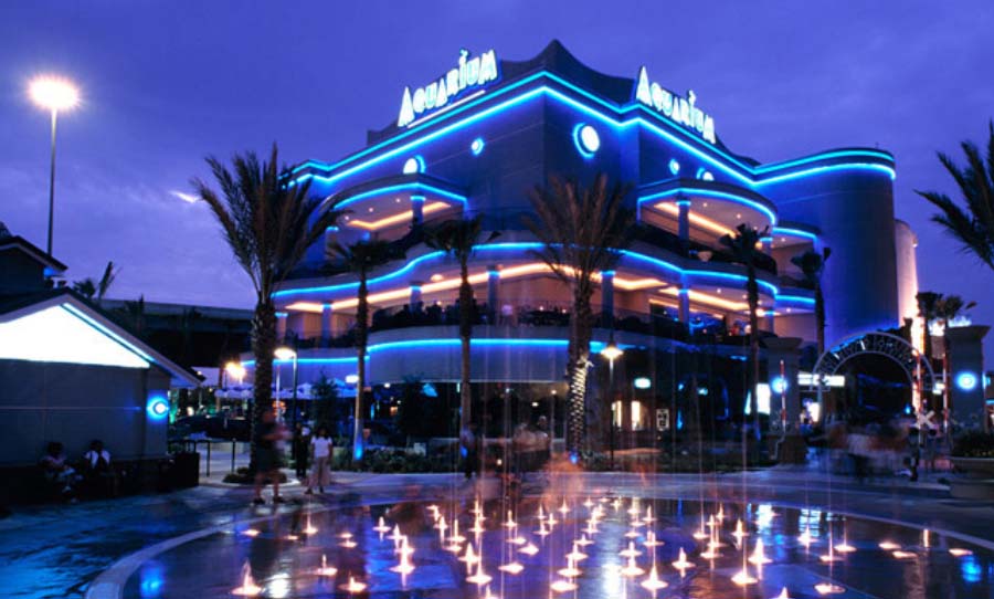 Image shows a modern building illuminated in vibrant blue lights during twilight. The architecture features sleek, curved lines. Palm trees are visible and people can be seen casually milling about. Reflections glimmer across the foreground, suggesting a wet surface, possibly after rain.