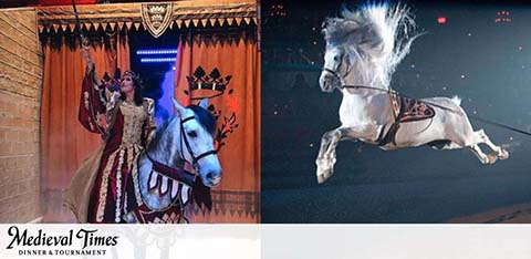 Image of Medieval Times dinner and tournament. Left side, a performer in royal attire is riding a horse under a banner. Right side shows a horse in mid-gallop, its mane flying, spotlighted against a dark background. The Medieval Times logo is at the bottom.