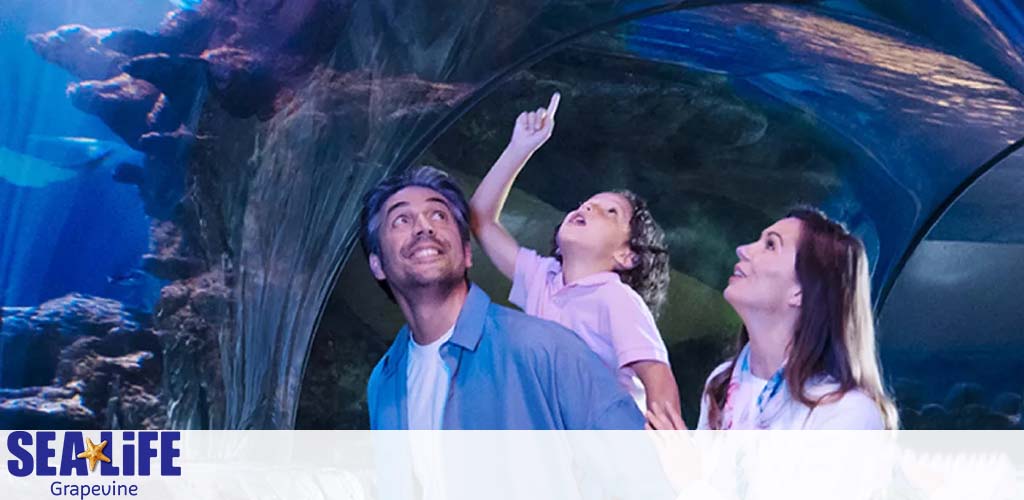 A family of three, consisting of a man, woman, and a young child, joyfully explore an underwater tunnel at SEA LIFE Grapevine. They are looking up in wonder at the marine life swimming overhead in the clear blue water. The SEA LIFE Grapevine logo is visible in the corner of the image.