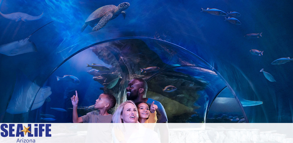 A family of four looks in wonder at a vibrant underwater scene at SEA LIFE Arizona. A large turtle swims above, while various fish glide through the blue waters filling the tunnel-like aquarium surrounding them.