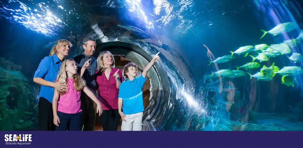 Family marvels at fish in an aquarium tunnel.