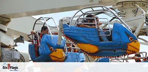 Image displays a theme park ride at Six Flags, featuring an attraction with seats shaped like blue mythical birds. Riders are secured with safety harnesses, showing visible excitement. The Six Flags logo is evident in the lower part of the image, affirming the location.