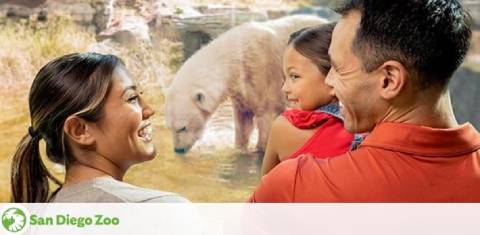 Image promoting San Diego Zoo, featuring a joyful family moment with a woman smiling at a man holding a young child who's looking back with wonder. In the background, a polar bear is partially visible through a glass barrier, suggesting an intimate and safe wildlife encounter. The zoo's logo is seen in the corner.