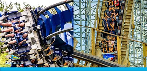 Image of a SeaWorld roller coaster in motion. The left side shows the side view of the coaster filled with excited riders, inverted on a loop. The right side captures a different coaster car as it descends a steep drop, with riders' hands up in thrill. The SeaWorld logo is visible.