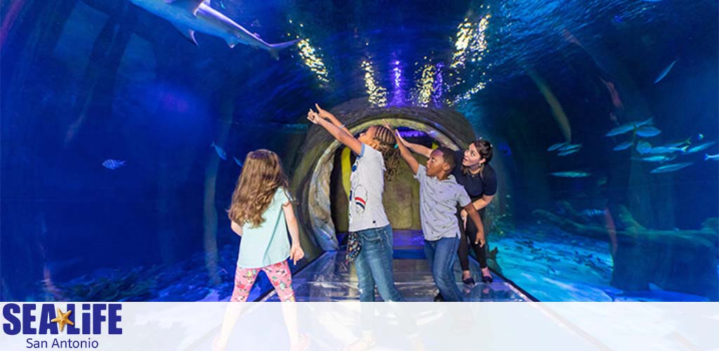 Visitors experience an underwater adventure at SEA LIFE San Antonio. A group of children excitedly point at the aquatic life swimming overhead in the ocean tunnel exhibit, with colorful fish visible through the clear curved glass. The logo at the bottom left indicates the location.