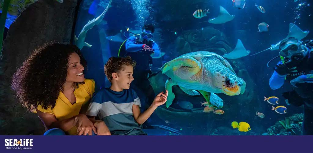 Woman and child watching a sea turtle at an aquarium.