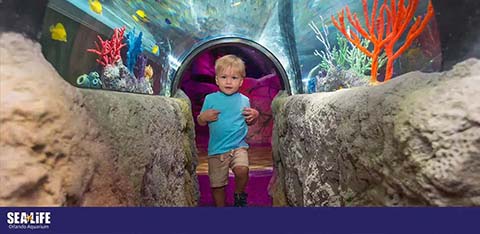 Child in an aquarium tunnel with colorful coral replicas on sides and a logo sign.