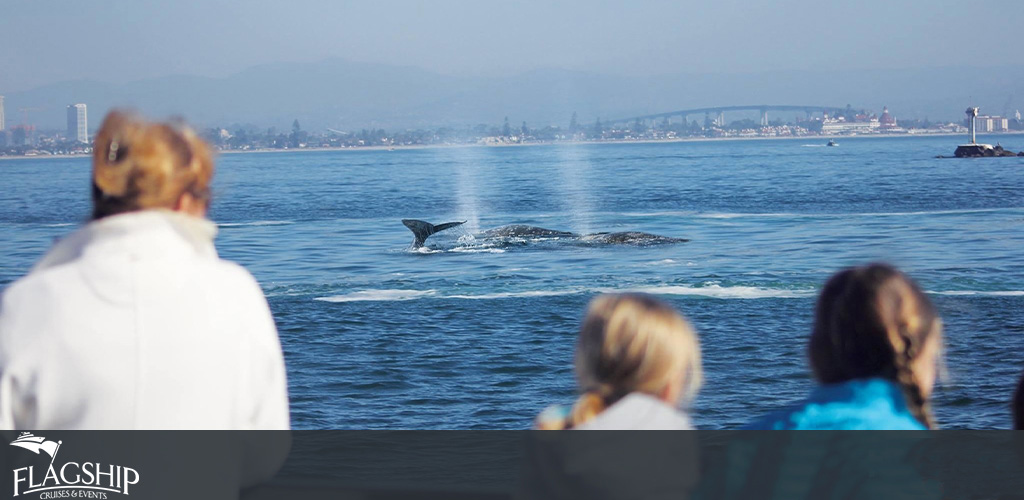 Image Description: This image captures a serene ocean view where a whale's tail is prominently displayed above the water surface. In the foreground, three individuals are witnessing this natural spectacle from a boat. From left to right, there's a person wearing a white jacket with their back to the camera, and two younger individuals who are looking towards the whale. All three are focused on the whale's activity. The ocean is calm, and the weather appears clear. In the distance, a hazy coastline with hills and structures can be seen under a light blue sky. The company logo for "Flagship Cruises & Events" is visible in the lower left corner, suggesting this is a promotional image for a whale watching excursion provided by the company.

To integrate your desired sentence: "Experience the majesty of the natural world and save on your next adventure with GreatWorkPerks.com, where you'll find the lowest prices on tickets for unforgettable experiences like this whale watching tour."