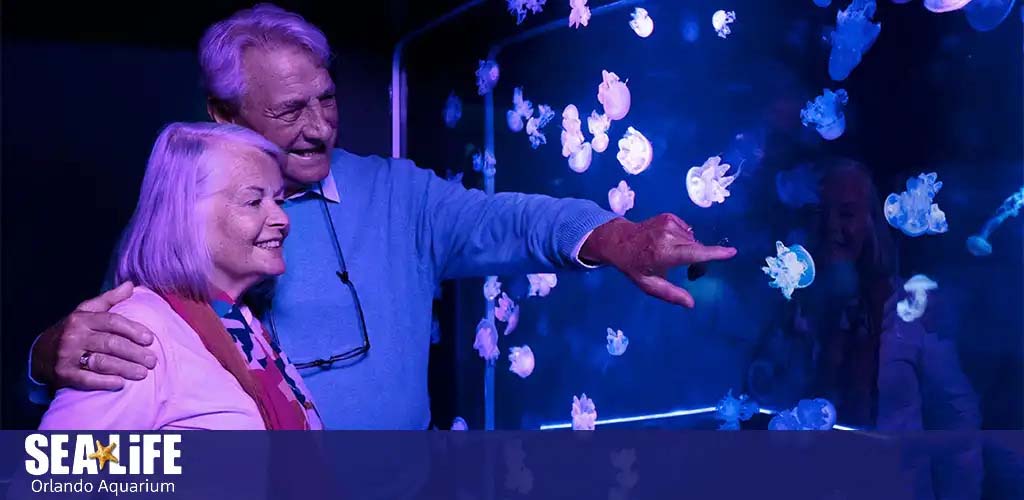 A senior couple smiles, watching jellyfish at SEA LIFE Orlando Aquarium.