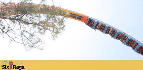 An exhilarating roller coaster captured mid-descent against a clear sky at a Six Flags amusement park. The coaster is filled with excited riders, secured by over-the-shoulder restraints. A tree at the left corner frames the scene. The park's logo is visible at the bottom.