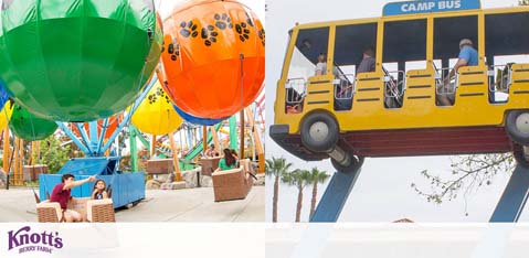 Image shows two attractions at Knott's Berry Farm. On the left, a colorful ride with oversized, balloon-shaped gondolas, with visitors seated inside. On the right, a yellow school bus themed ride suspended high on a track, full of guests enjoying the experience. The Knott's logo is visible, signifying the location.