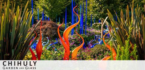 Image features vibrant, whimsical glass sculptures by artist Dale Chihuly at the Chihuly Garden and Glass exhibit. The sculptures, resembling organic shapes and twisting forms, stand out among lush green plants under bright daylight. The text indicates the location and title of the display.