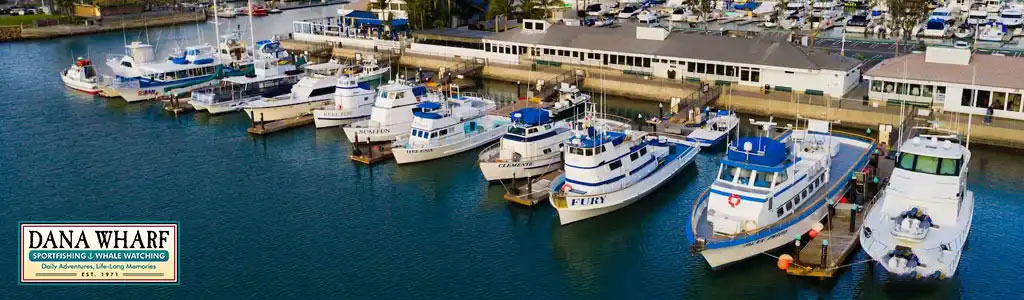 This image exhibits an aerial view of Dana Wharf, a bustling marina filled with an array of boats. Multiple vessels, varying in size and color, are docked in calm blue waters alongside a pier. The boats feature hues of white and blue, with a few details in red. The docks run parallel to a building that spreads across the length of the photo. Above the serene waters and lined vessels, the vibrant sky casts a soft golden hue, suggesting either early morning or late afternoon lighting. A sigil to the left of the image denotes "Dana Wharf Sportfishing & Whale Watching" alongside the tagline "Daily Adventures, Lifelong Memories" and the establishment date "Est. 1971."

At GreatWorkPerks.com, we invite you to embark on your next marine adventure with the assurance of securing the lowest prices on tickets, ensuring your foray into the sea is coupled with significant savings.