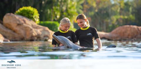 Discovery Cove Orlando discount tickets