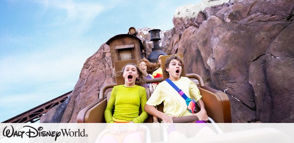 Disney World Picture