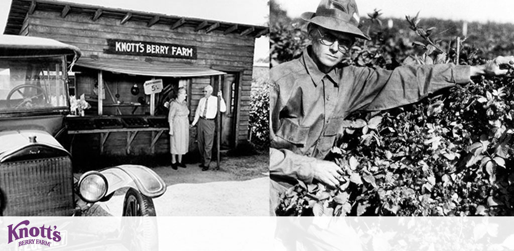 The image is a black and white collage featuring historical photographs related to Knott's Berry Farm. On the left, an older couple stands outside of a rustic wooden structure with a sign reading 'Knott's Berry Farm'. A vintage car is parked beside the building. On the right, a man wearing a hat inspects berry bushes in a field. The Knott's Berry Farm logo is at the bottom center.