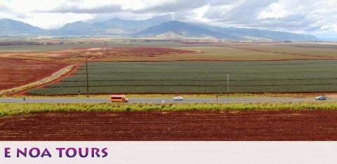 The image shows a scenic view of a vast agricultural field under a cloudy sky, with a mountain range in the distance. A road cuts through the landscape with a few vehicles, including an orange bus that stands out against the greenery. In the foreground, the words 'E NOA TOURS' are printed, suggesting a tourism-related theme.