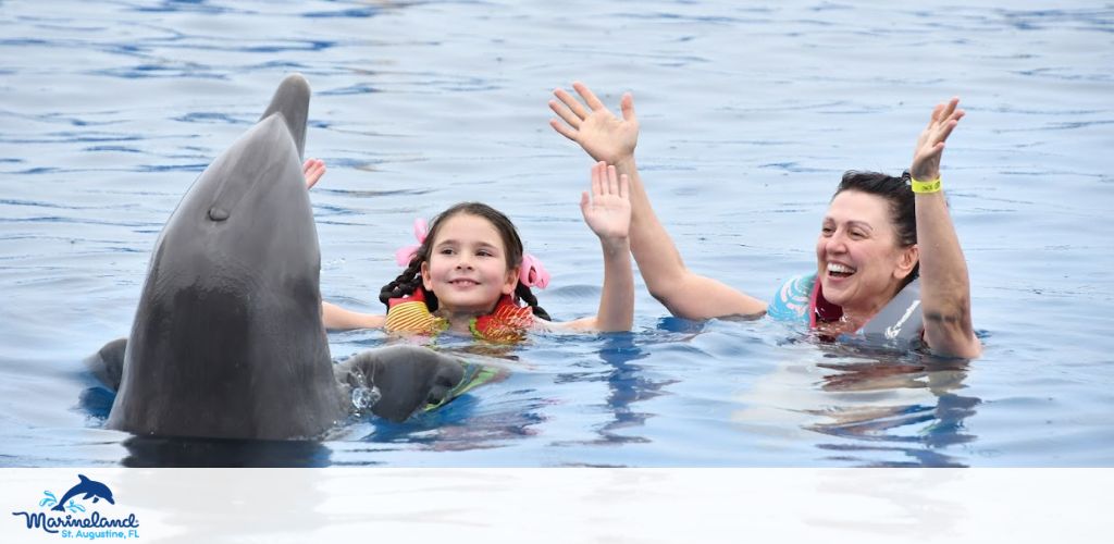 Marineland Dolphin Adventure Florida