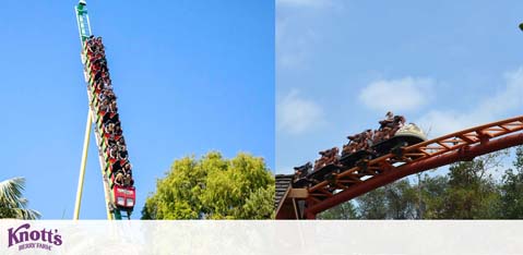 Image depicts two attractions at Knott's Berry Farm. On the left, a tall drop tower with a green structure filled with riders in colorful seats. On the right, a brown roller coaster track with a car full of riders cresting a hill. Clear skies and lush greenery in the background. Knott's Berry Farm logo at the bottom center.