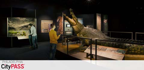 An exhibit featuring a life-size dinosaur model prominently displayed. Two guests, one in a yellow top and another in a blue top, are observing the exhibit. In the foreground, a Philadelphia CityPASS logo is visible, suggesting access to attractions.