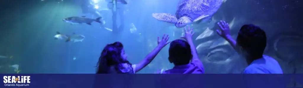 Children gaze at marine life in an aquarium tank, awed by fish and a ray.