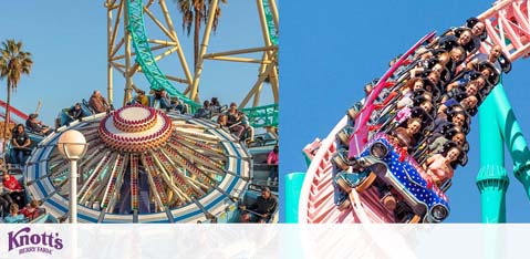 Image displays two amusement park rides on a sunny day at Knott's Berry Farm. On the left is a classic carousel with a spinning top and colorful design. To the right, excited riders plunge down a steep roller coaster drop with their arms raised, riding in a train decorated in red, white, and blue. The park's ambiance is lively and fun-filled.