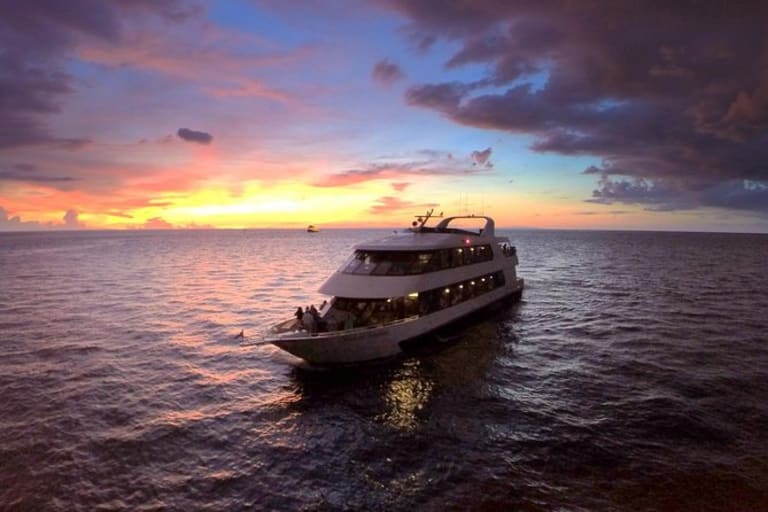 Your Royal Yacht Experience — Evening Dinner Cruise —  United Arab Emirates Tour Package by Green Apple Travel