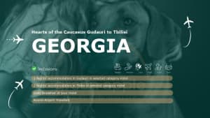 Hearts of the Caucasus Gudauri to Tbilisi