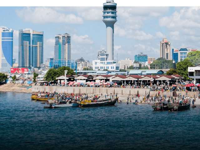 Tanzania Tourist Visa in Dubai - Quick Processing and High Approval with Green Apple Travel & Tourism - Professional Visa Application Service in UAE