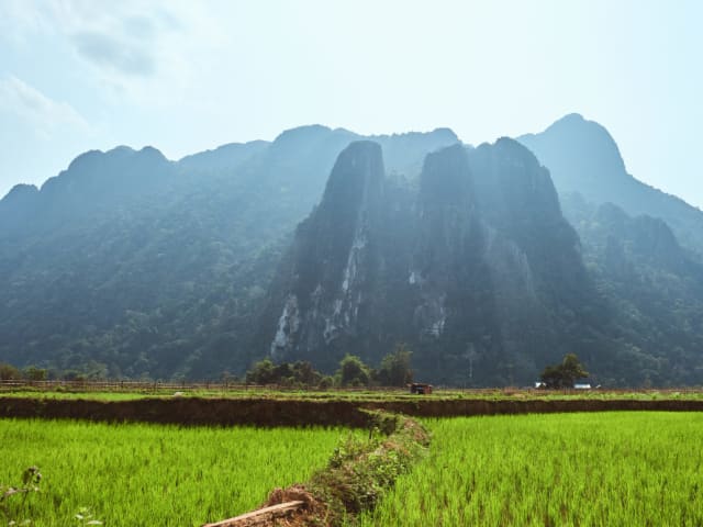 Fast Laos E-Visa Application - Professional Visa Application Service in UAE
