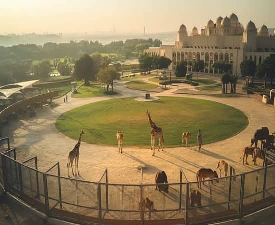 Emirates Park Zoo & Resort Day Trip - 1 Days United Arab Emirates Tour Package by Green Apple Travel