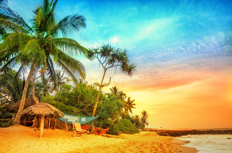 Sri Lanka 4-Night Deluxe Family Package