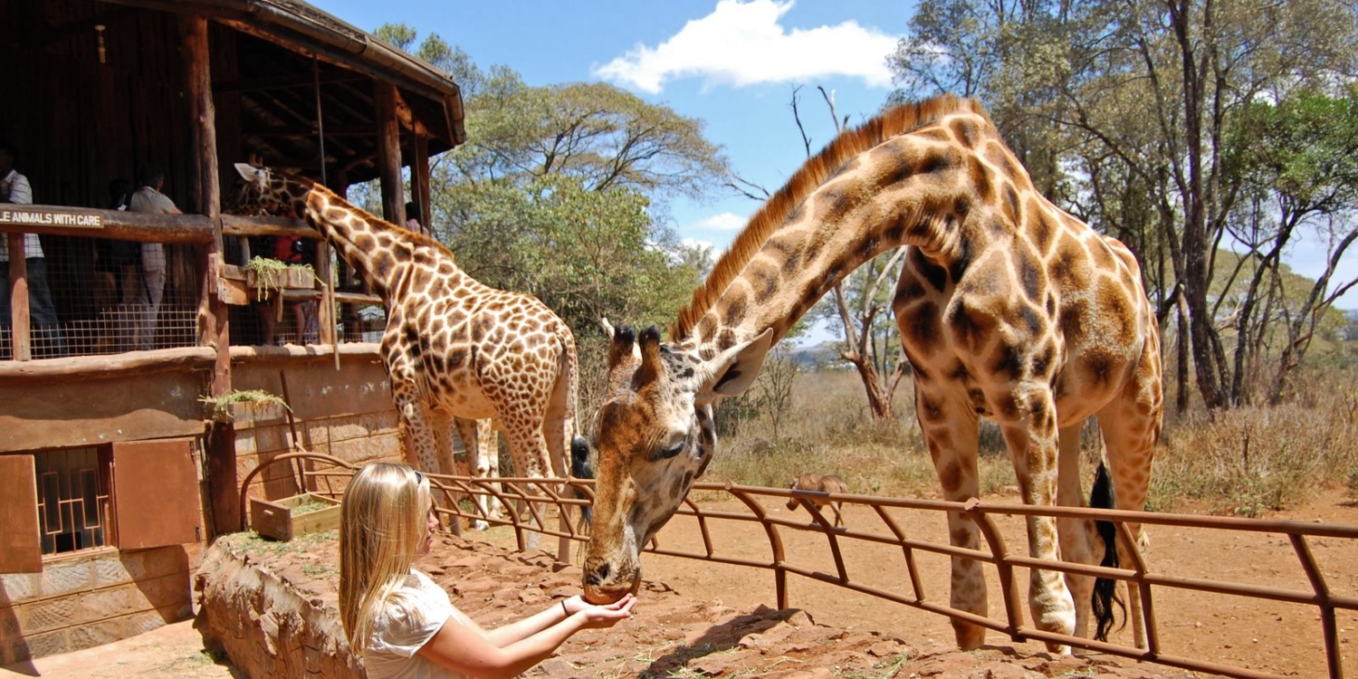 Day 2 - Nairobi Leisure Package Itinerary