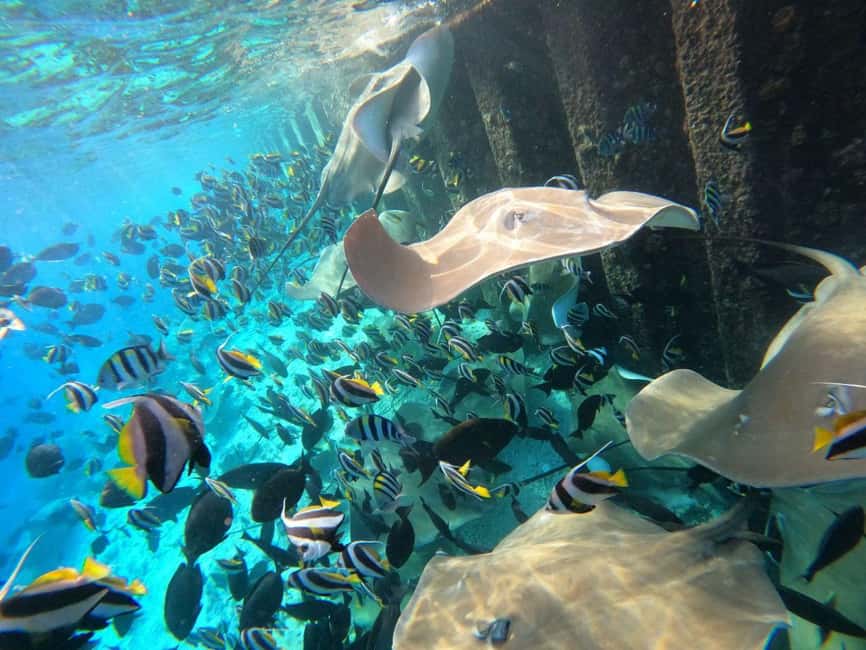 Day 2 - Sharjah to Maldives Beach Getaway Itinerary