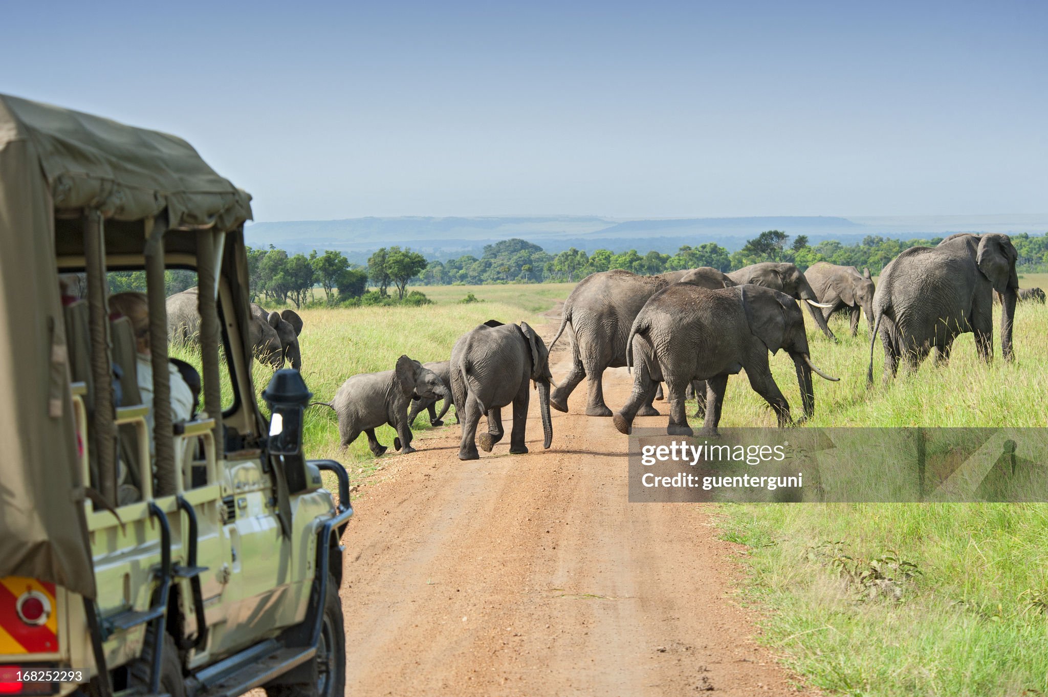 Sharjah to Nairobi Wildlife Experience - 5D/4N Kenya Tour Package by Green Apple Travel