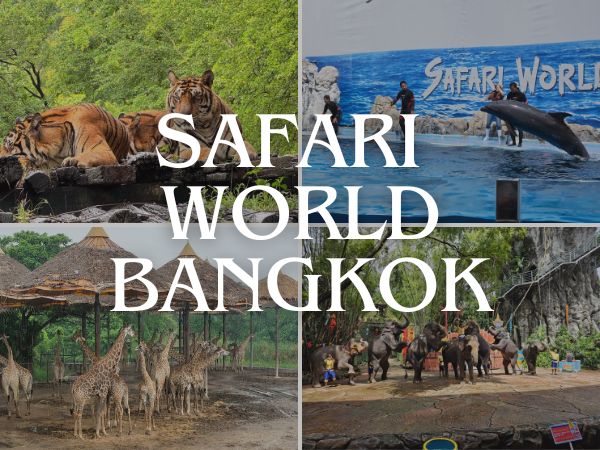 Day 2 - Thailand — Sharjah (SHJ) → Bangkok (BKK) | 05–10 Feb 2026 Itinerary