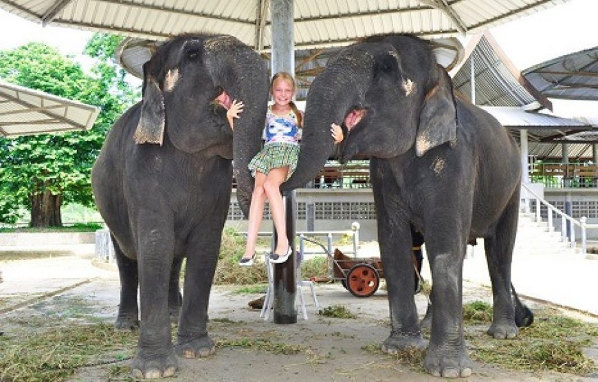 Day 3 - Thailand — Sharjah (SHJ) → Bangkok (BKK) | 05–10 Feb 2026 Itinerary