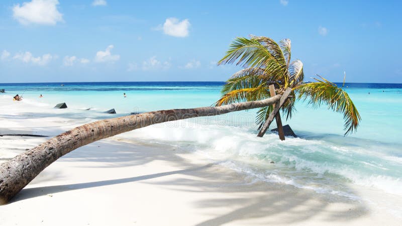 Maafushi Island Escape - Maldives - 6D/5N Maldives Tour Package by Green Apple Travel