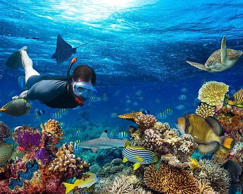 Day 4 - Maafushi Island Escape - Maldives Itinerary