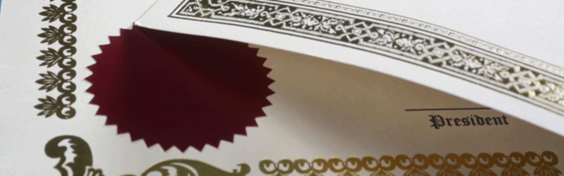 Casier Judiciaire (Criminal Record) Apostille