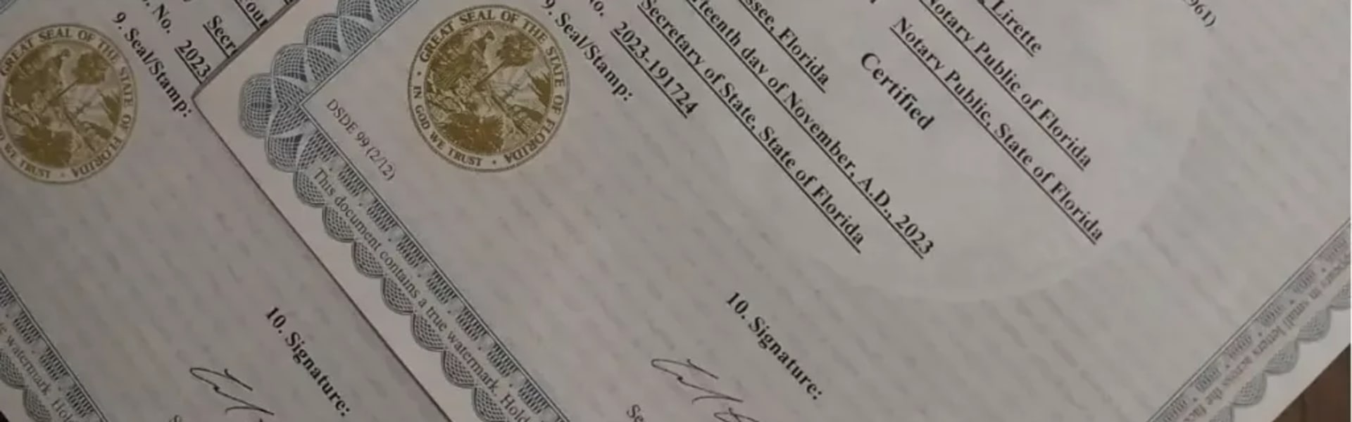 Professional License Apostille