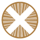 TownX Real Estate Development